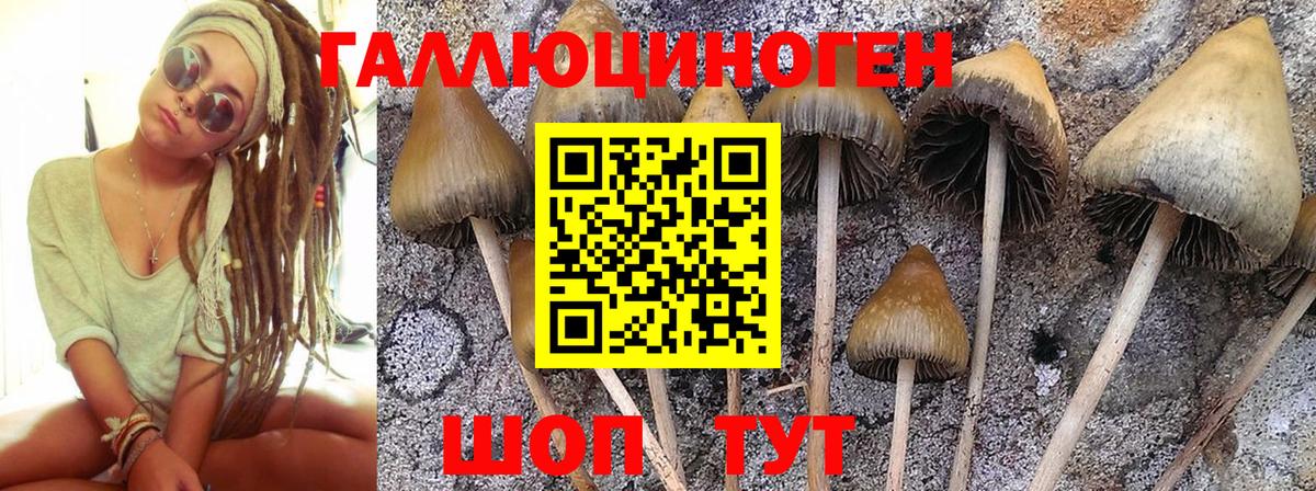 Галлюциногенные грибы мицелий Миллерово