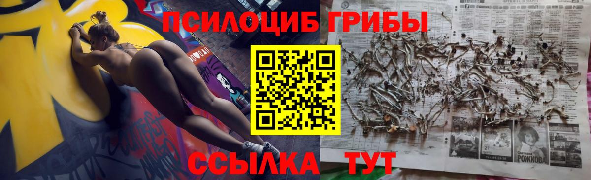 Галлюциногенные грибы Psilocybe  Вход с VPN  Миллерово 